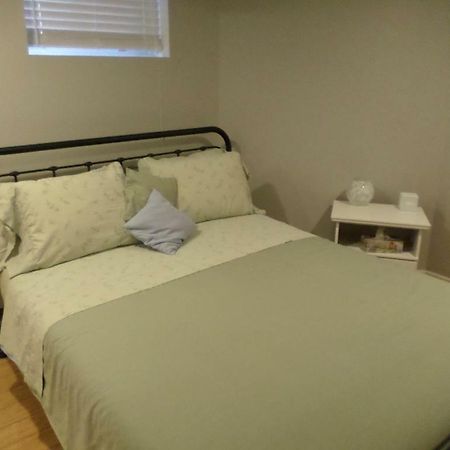 Fantastic And Modern Downtown 1-Bed Basement Apt., Parking Wi-Fi And Netflix Included 오타와 외부 사진